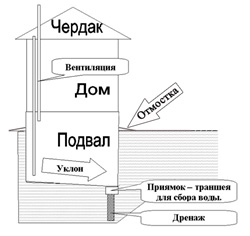 Схема подвального помещения